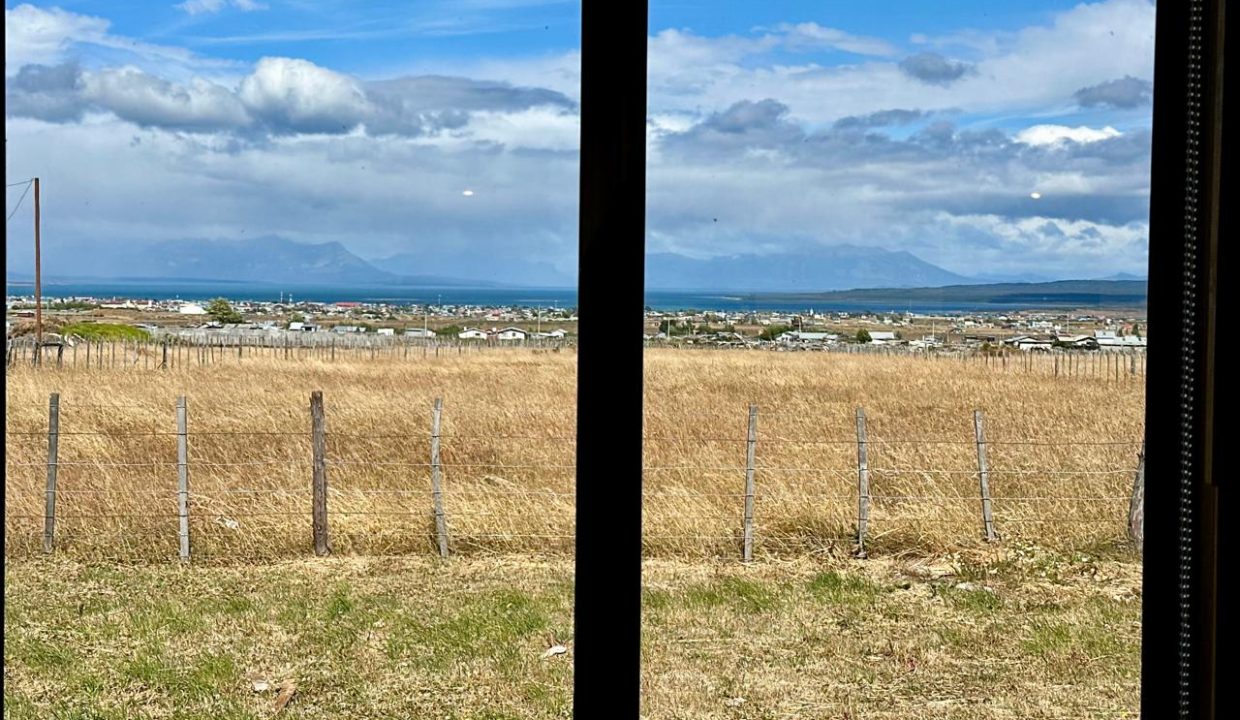 WhatsApp Image 2026-02-13 at 7.22.31 PM (4)