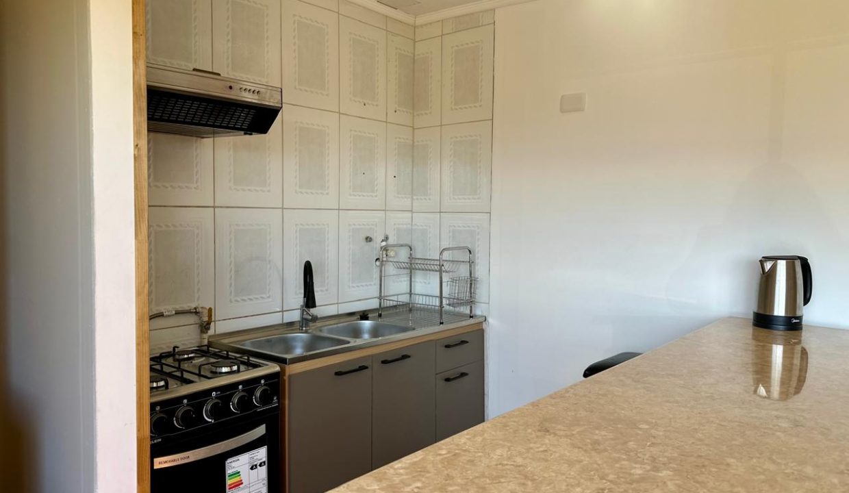 WhatsApp Image 2026-02-13 at 7.22.32 PM (3)