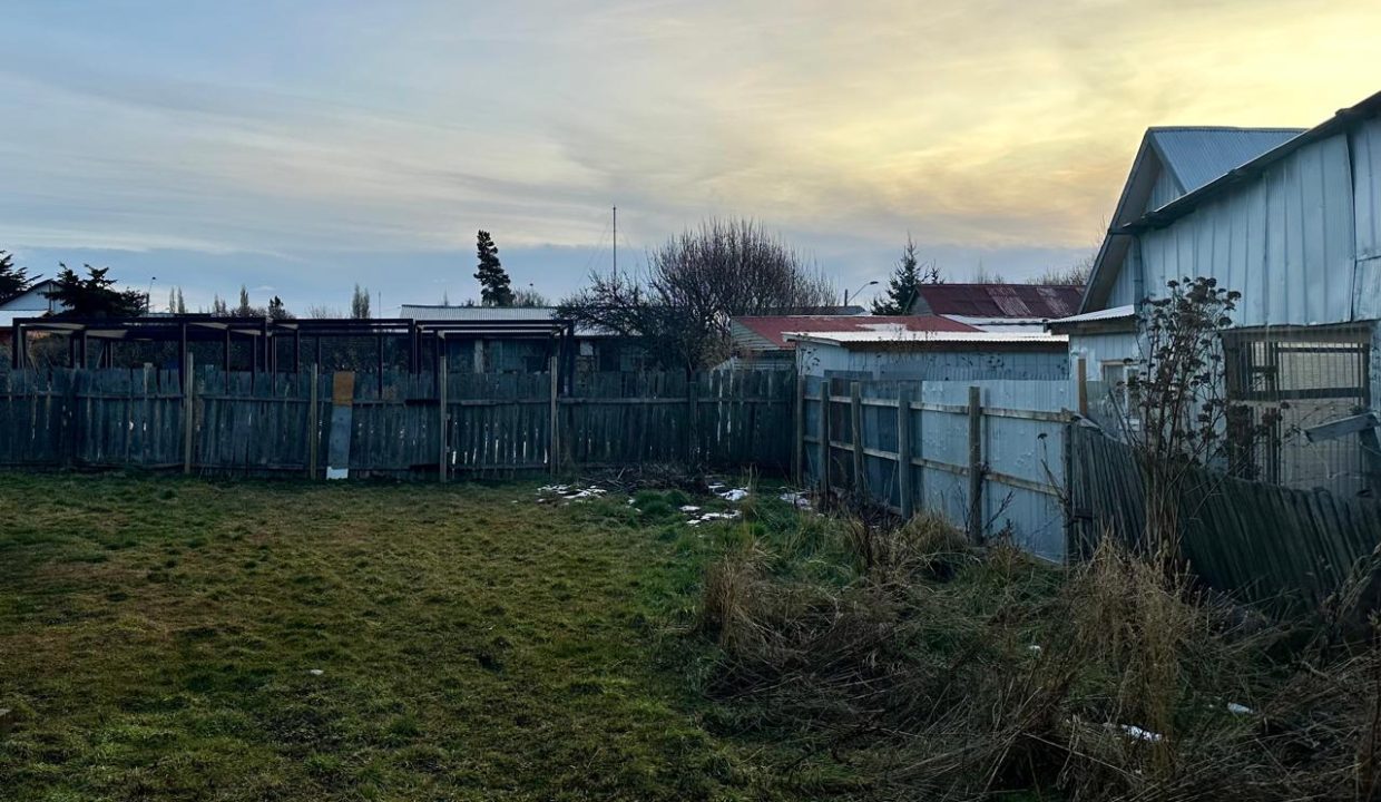 WhatsApp Image 2025-08-08 at 9.34.38 AM (3)