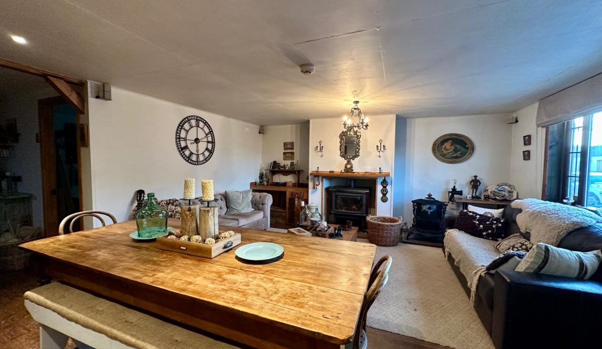 WhatsApp Image 2025-08-11 at 7.51.09 PM (1)