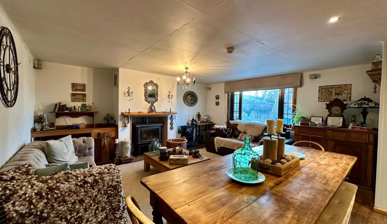 WhatsApp Image 2025-08-11 at 7.51.09 PM