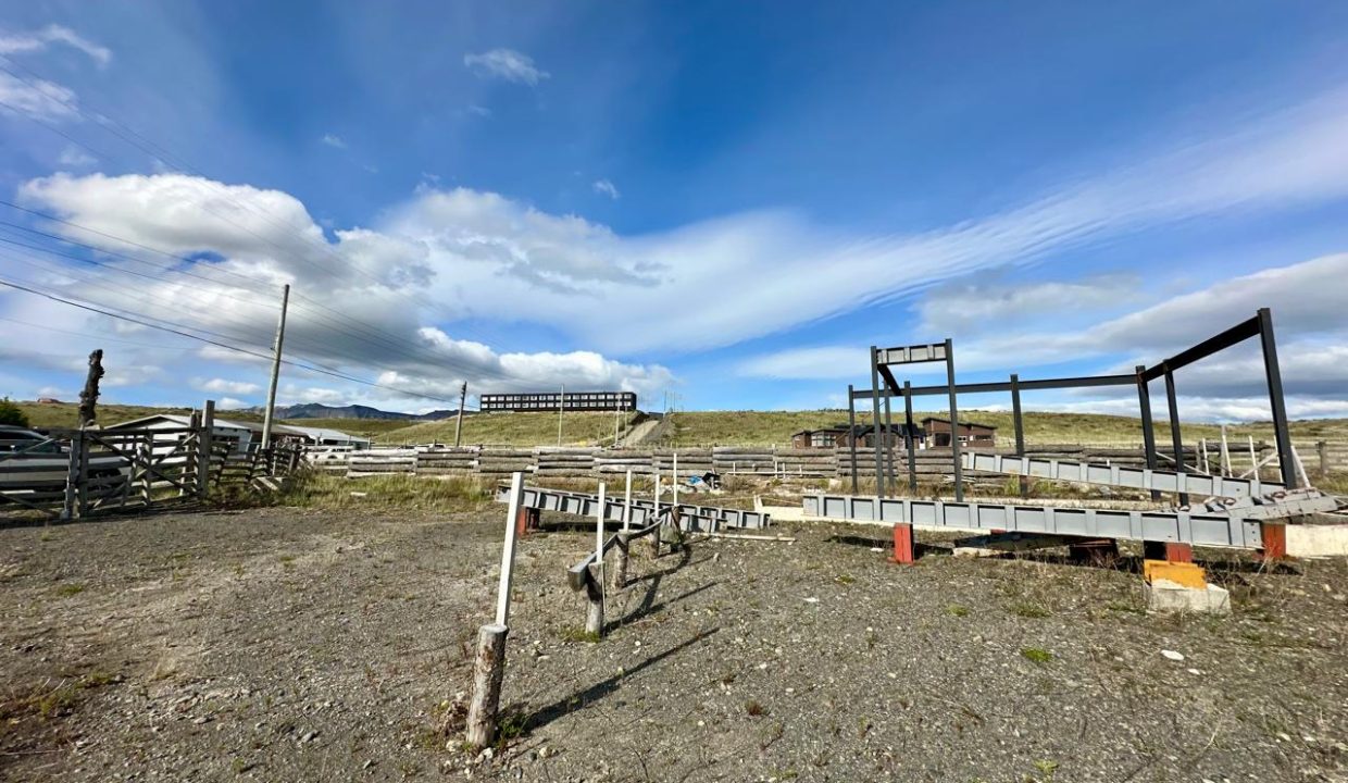 WhatsApp Image 2026-01-09 at 9.31.17 AM (5)