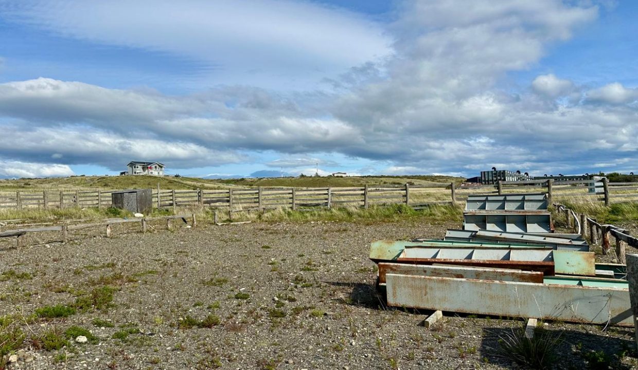 WhatsApp Image 2026-01-09 at 9.31.17 AM (8)