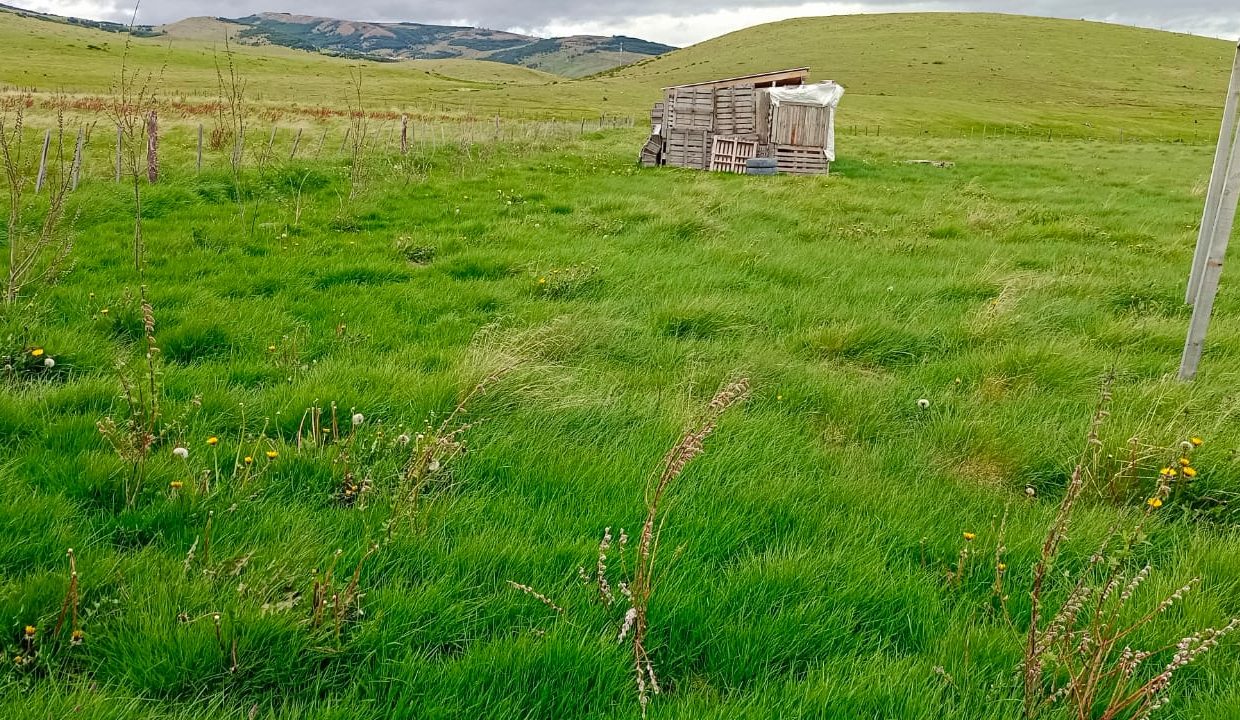 WhatsApp Image 2025-09-05 at 3.08.03 PM (1)