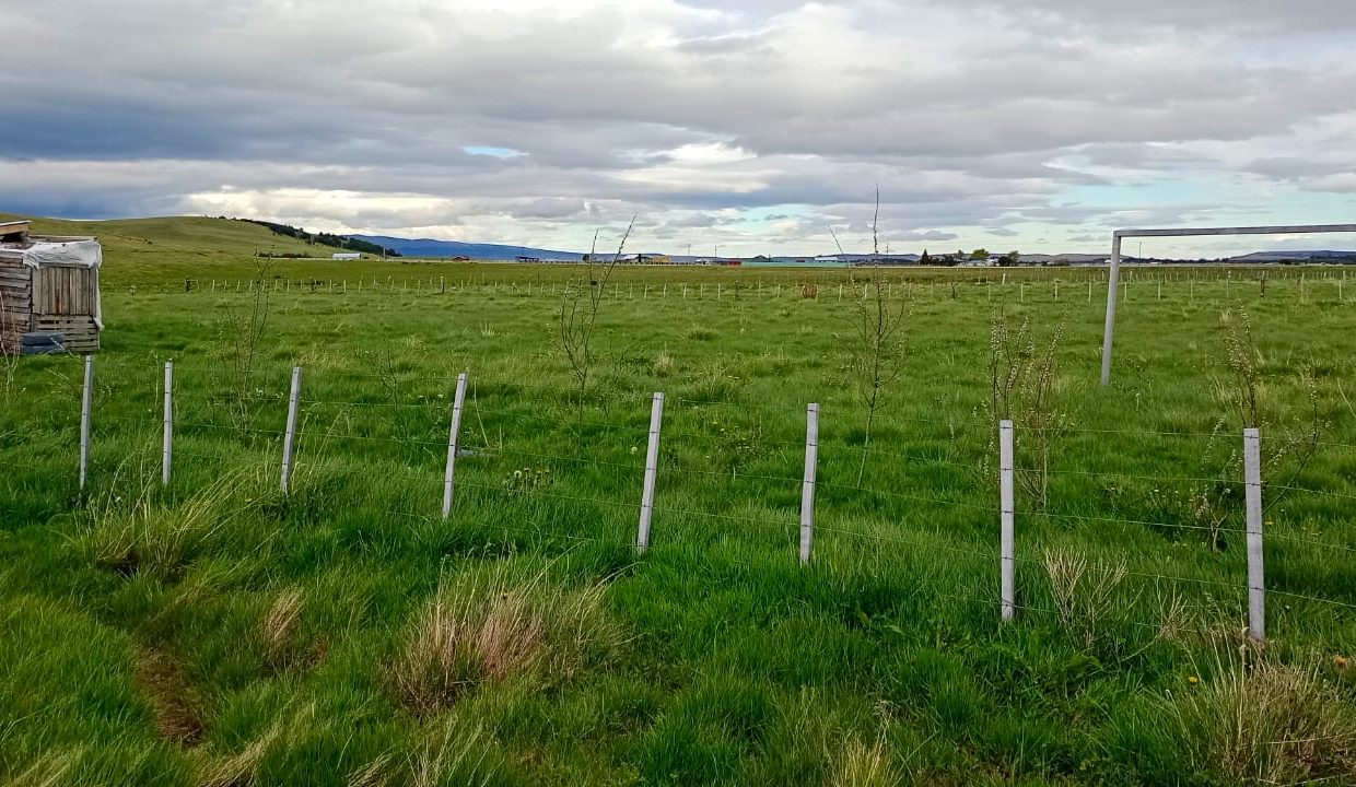 WhatsApp Image 2025-09-05 at 3.08.05 PM (1)