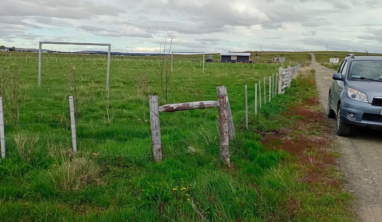 WhatsApp Image 2025-09-05 at 3.08.05 PM (2)