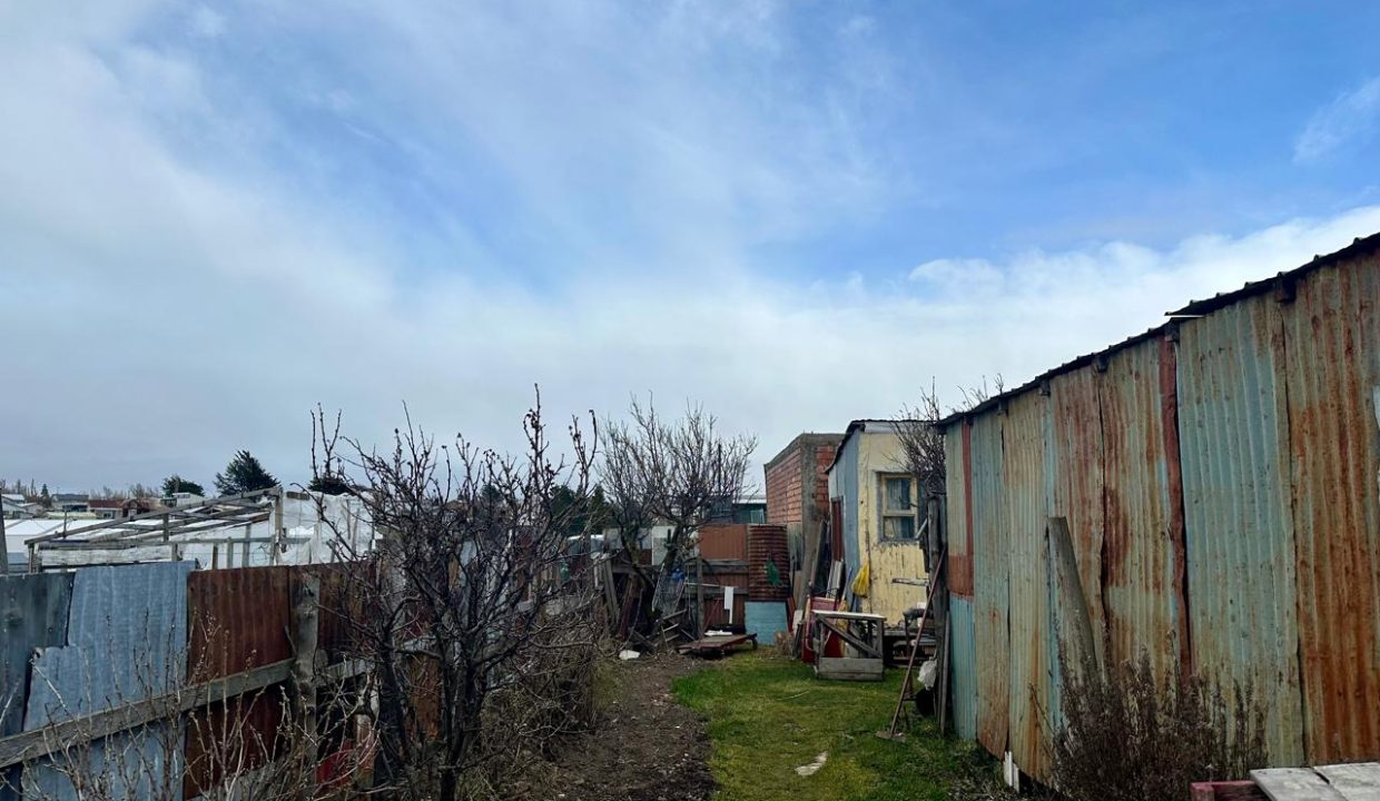 WhatsApp Image 2025-09-06 at 9.00.31 AM (8)