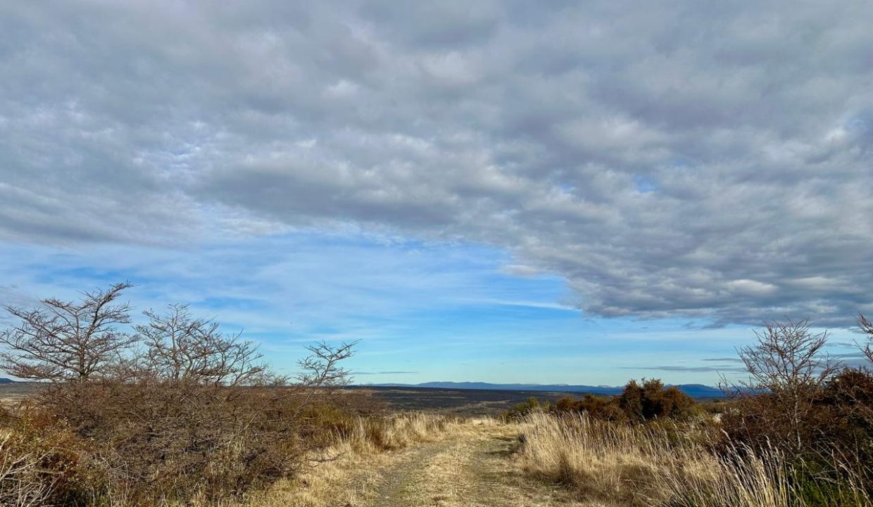 WhatsApp Image 2025-09-26 at 7.06.30 AM (15)