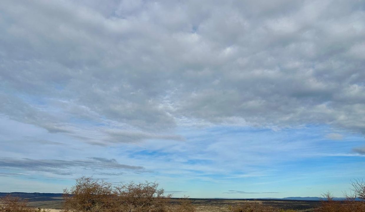 WhatsApp Image 2025-09-26 at 7.06.30 AM (7)