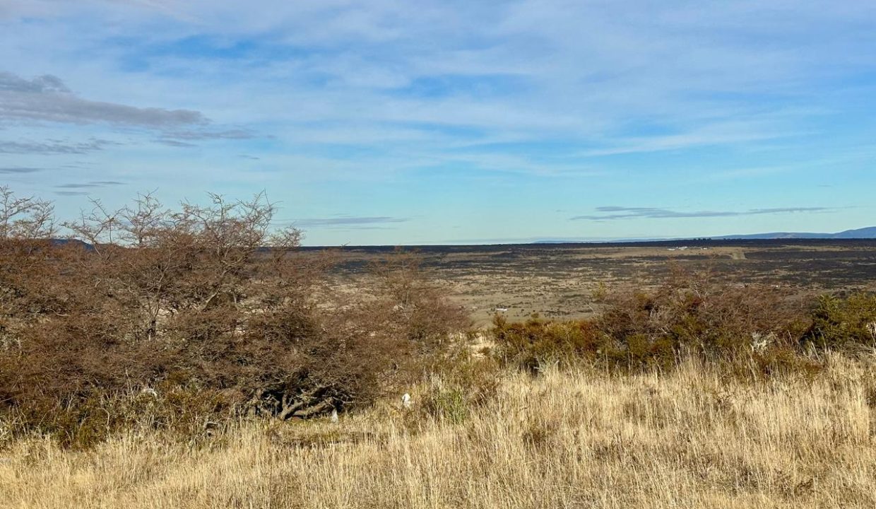 WhatsApp Image 2025-09-26 at 7.06.30 AM (8)