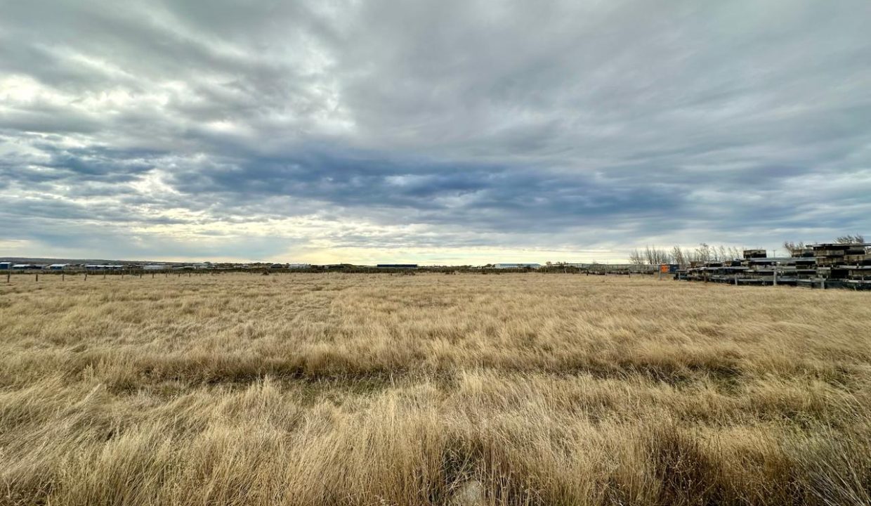 WhatsApp Image 2025-09-26 at 7.45.26 AM