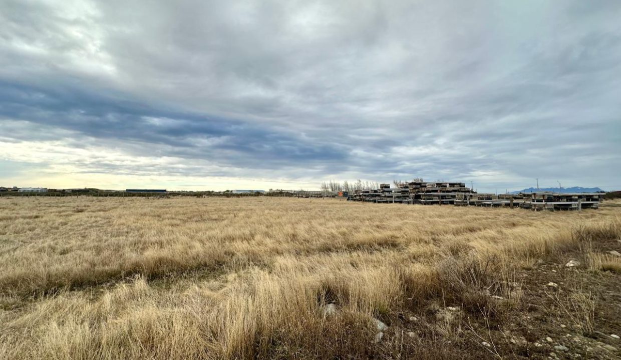 WhatsApp Image 2025-09-26 at 7.45.27 AM