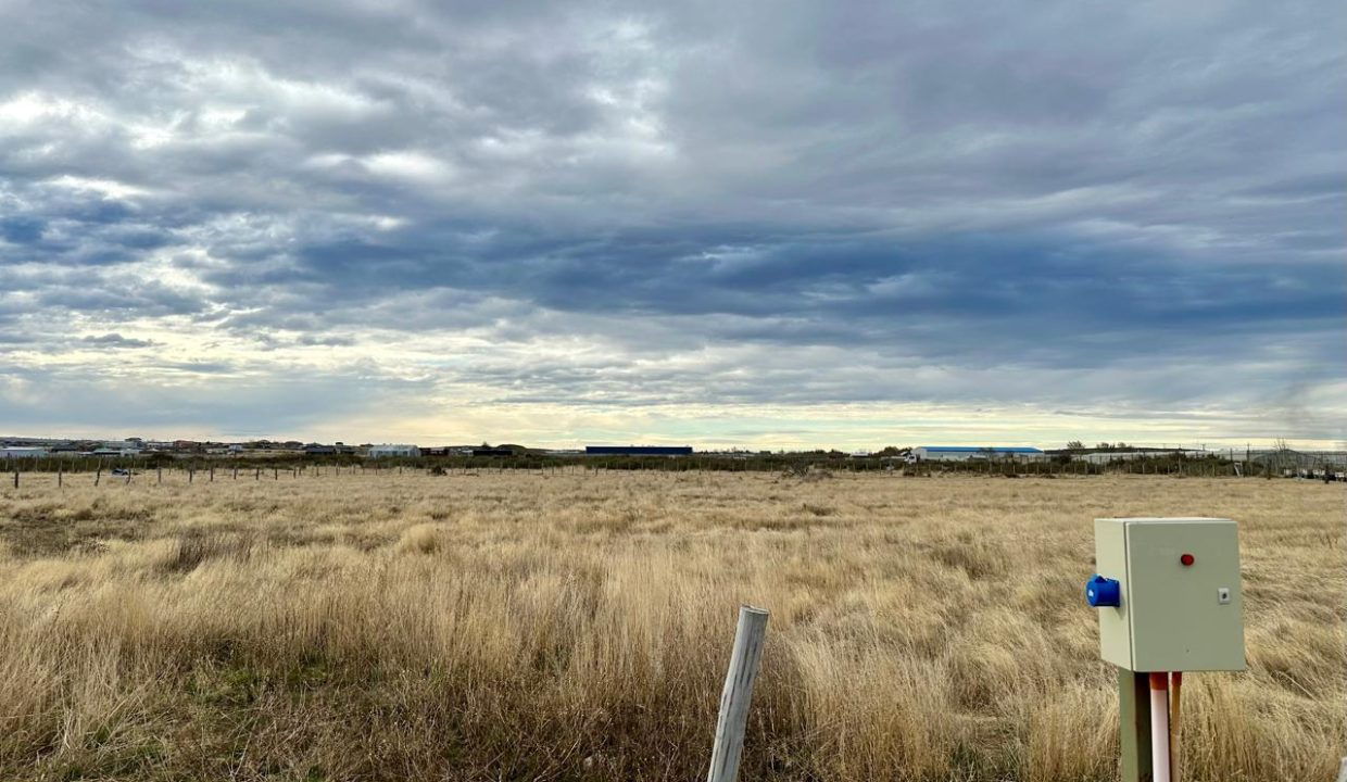 WhatsApp Image 2025-09-26 at 7.45.27 AM (2)