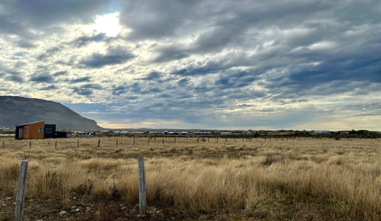 WhatsApp Image 2025-09-26 at 7.45.27 AM (3)