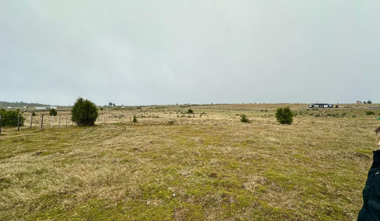 WhatsApp Image 2025-11-20 at 1.13.00 PM (1)