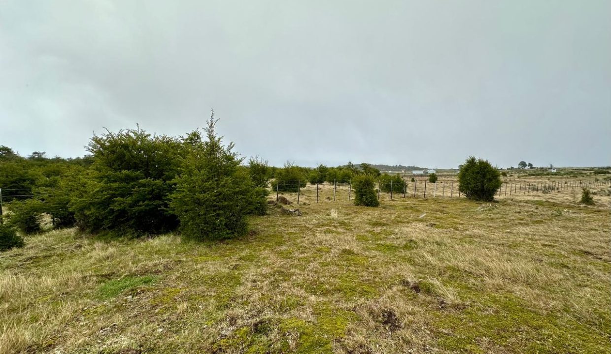 WhatsApp Image 2025-11-20 at 1.13.01 PM (1)