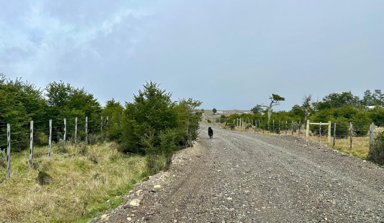 WhatsApp Image 2025-11-20 at 1.13.01 PM (10)