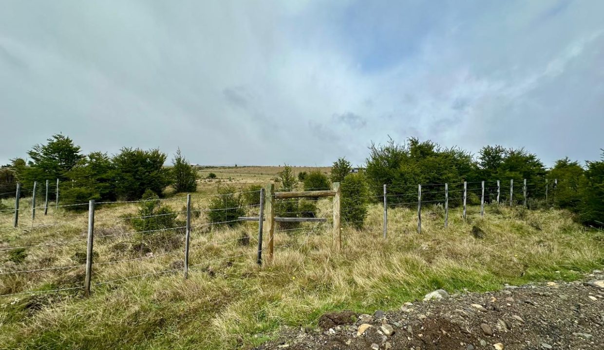 WhatsApp Image 2025-11-20 at 1.13.01 PM (11)