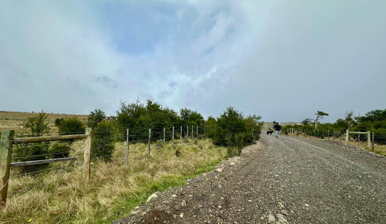 WhatsApp Image 2025-11-20 at 1.13.01 PM (12)