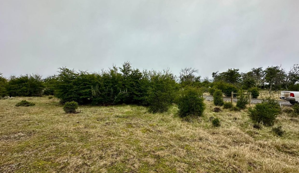 WhatsApp Image 2025-11-20 at 1.13.01 PM