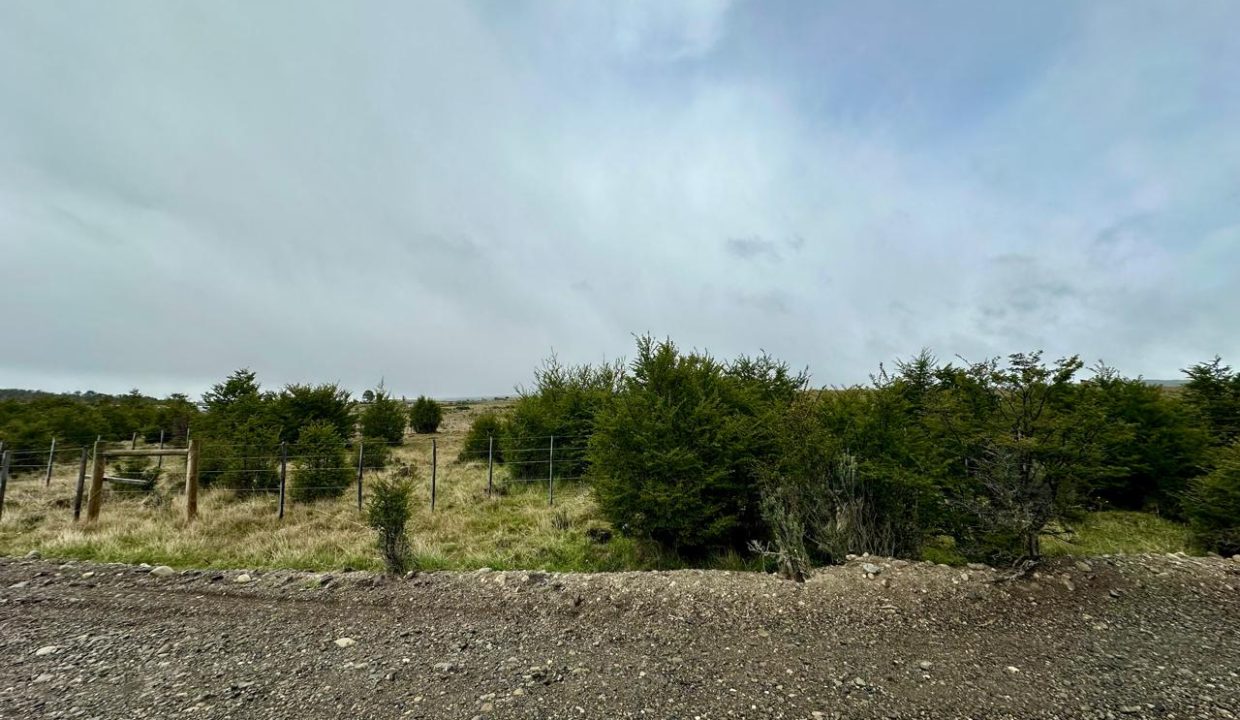 WhatsApp Image 2025-11-20 at 1.13.01 PM (13)