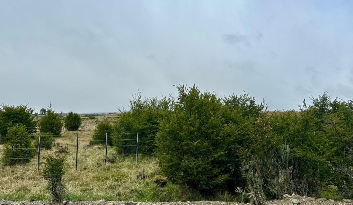 WhatsApp Image 2025-11-20 at 1.13.01 PM (14)