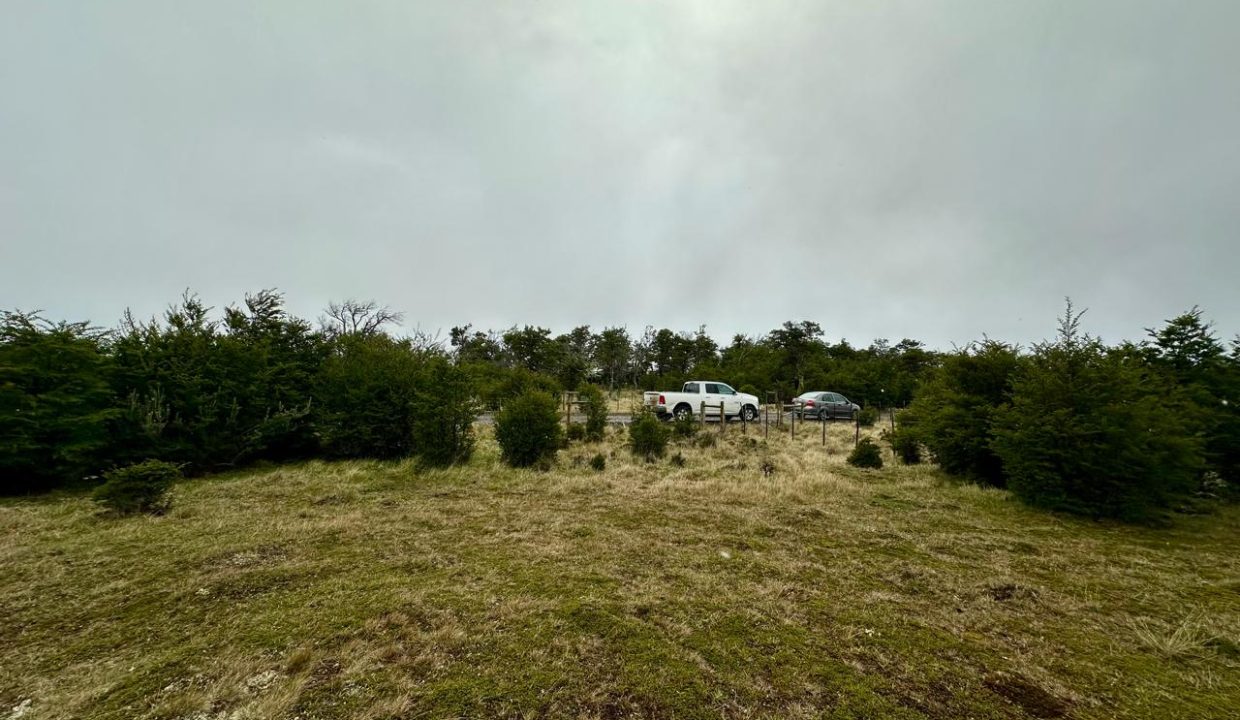 WhatsApp Image 2025-11-20 at 1.13.01 PM (5)