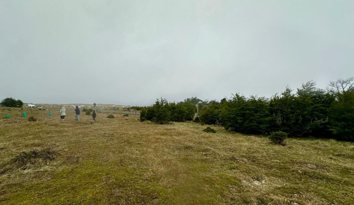 WhatsApp Image 2025-11-20 at 1.13.01 PM (6)