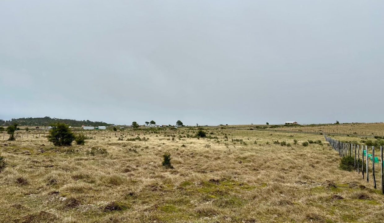 WhatsApp Image 2025-11-20 at 1.13.01 PM (7)