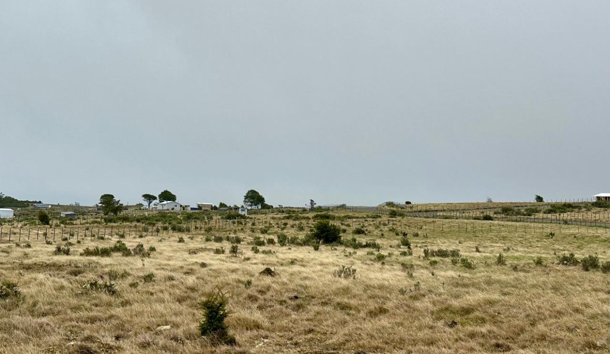 WhatsApp Image 2025-11-20 at 1.13.01 PM (8)