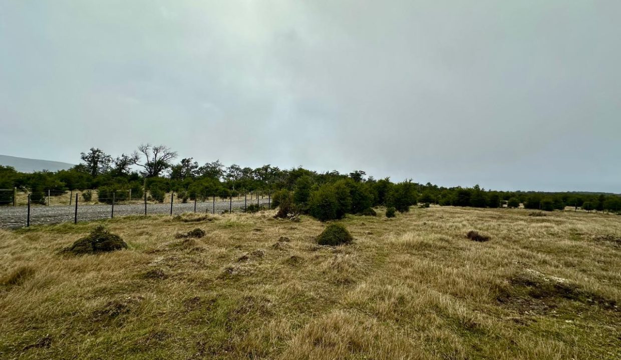 WhatsApp Image 2025-11-20 at 1.13.01 PM (9)