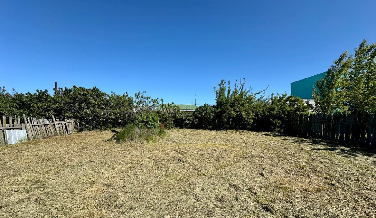 WhatsApp Image 2025-12-03 at 10.31.33 AM (1)