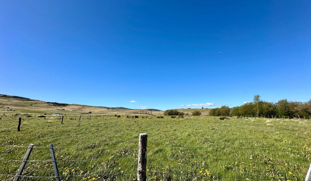 WhatsApp Image 2025-12-04 at 7.42.24 AM (1)