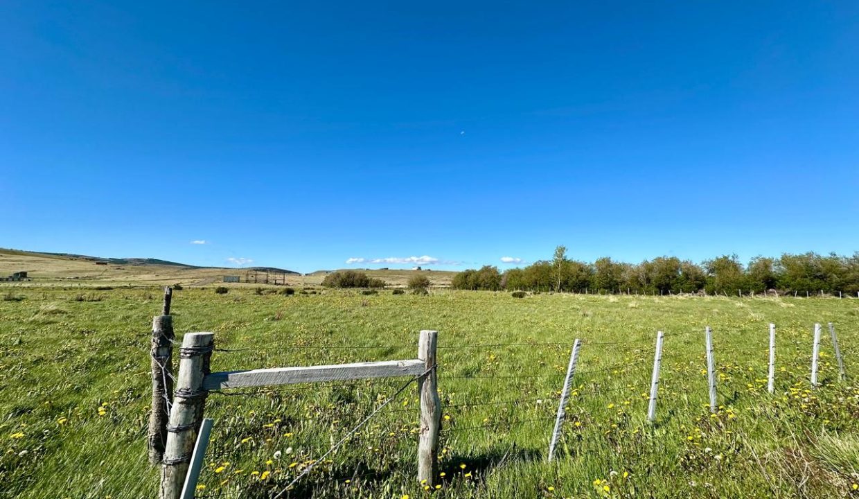 WhatsApp Image 2025-12-04 at 7.42.24 AM