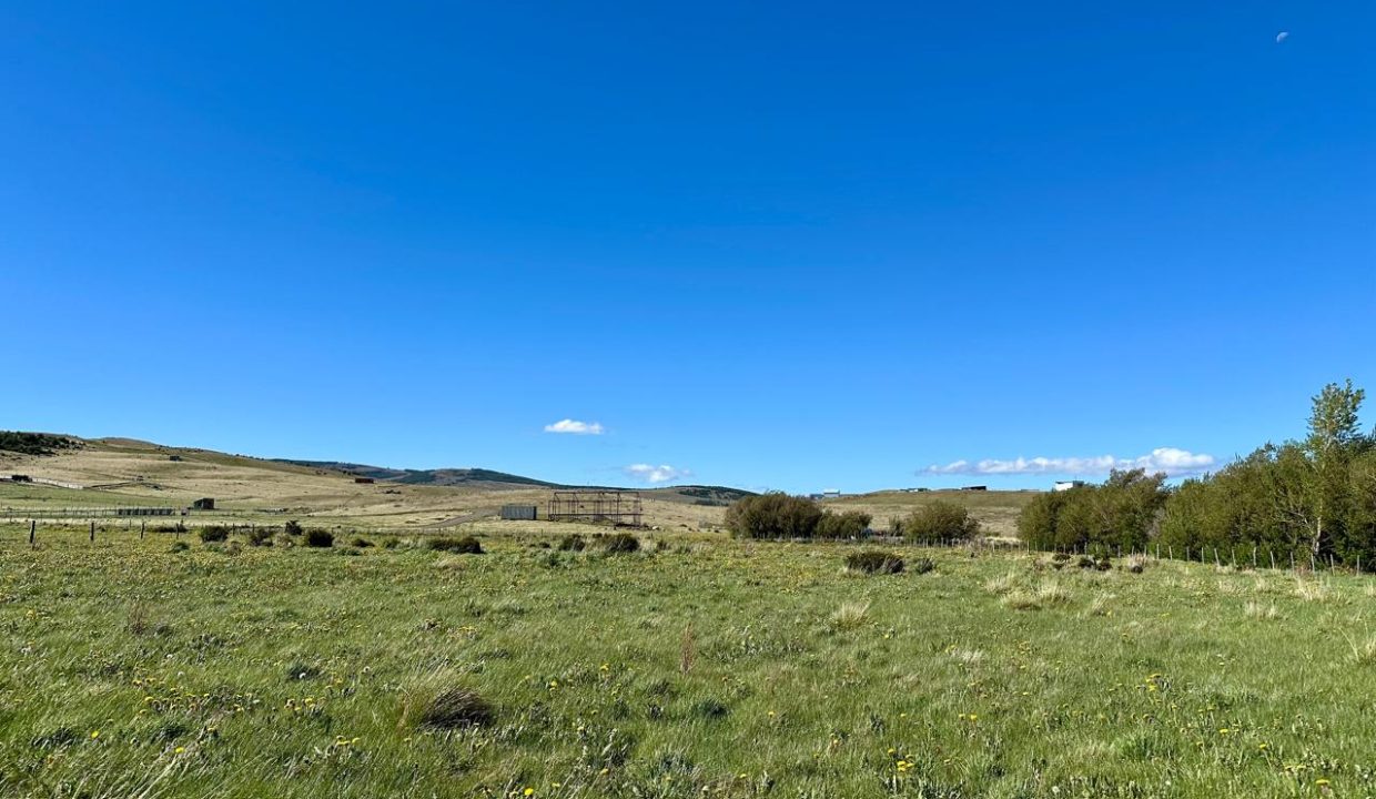 WhatsApp Image 2025-12-04 at 7.42.24 AM (2)