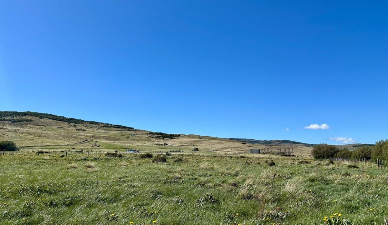 WhatsApp Image 2025-12-04 at 7.42.24 AM (3)