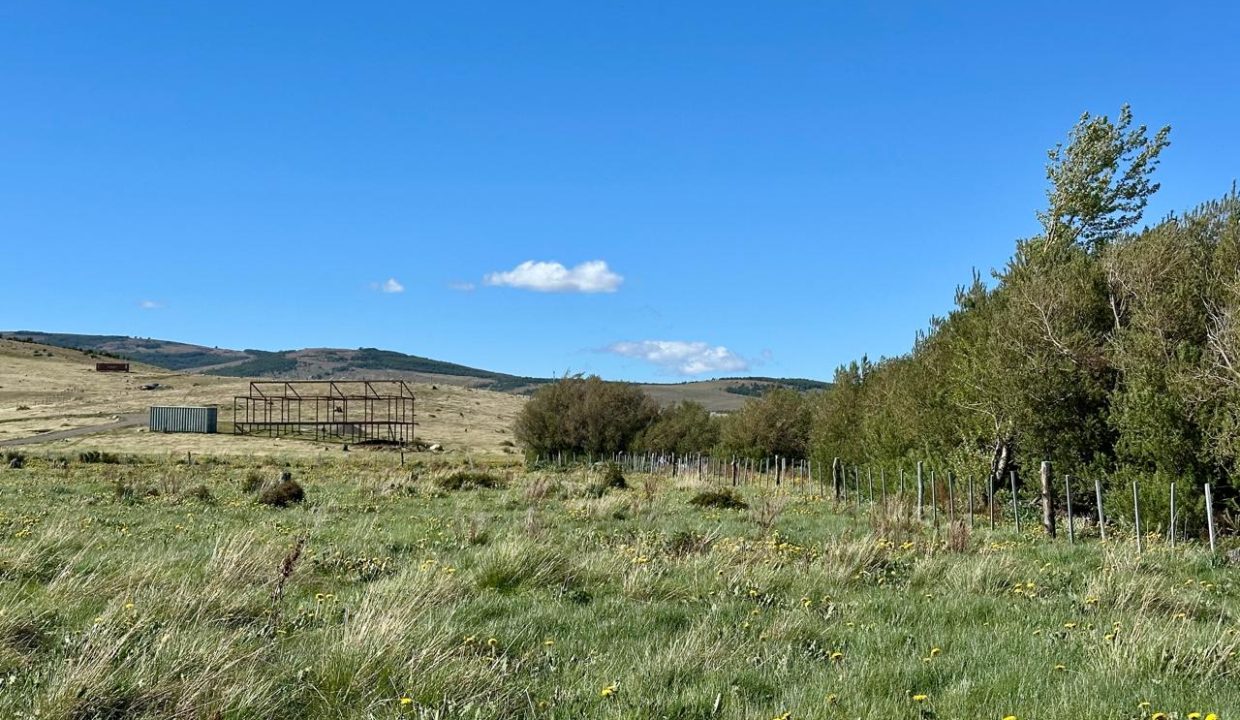 WhatsApp Image 2025-12-04 at 7.42.24 AM (4)