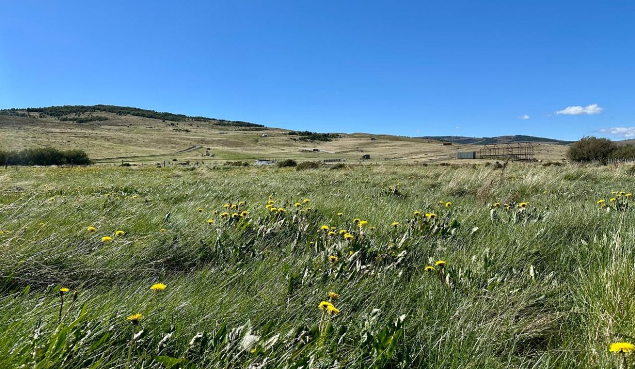 WhatsApp Image 2025-12-04 at 7.42.24 AM (5)