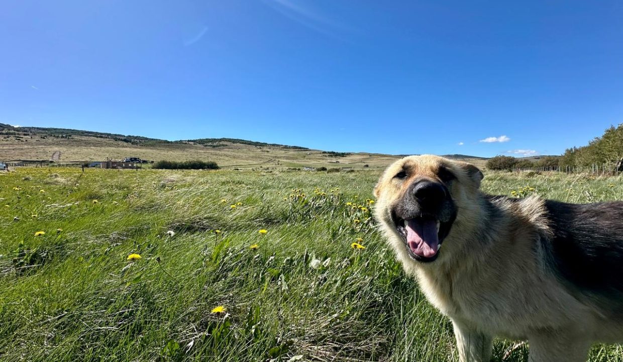 WhatsApp Image 2025-12-04 at 7.42.24 AM (6)