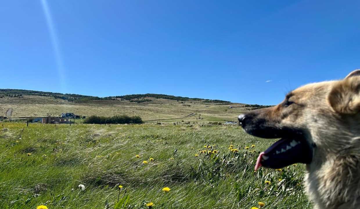 WhatsApp Image 2025-12-04 at 7.42.24 AM (7)