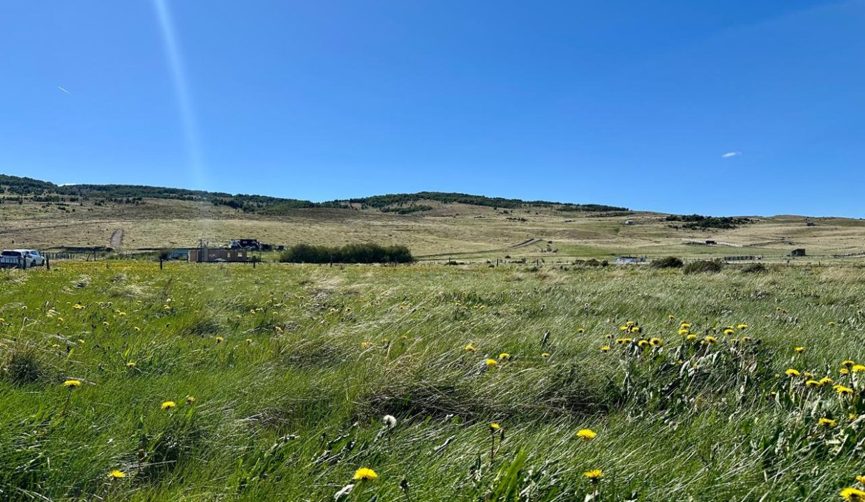 WhatsApp Image 2025-12-04 at 7.42.24 AM (8)