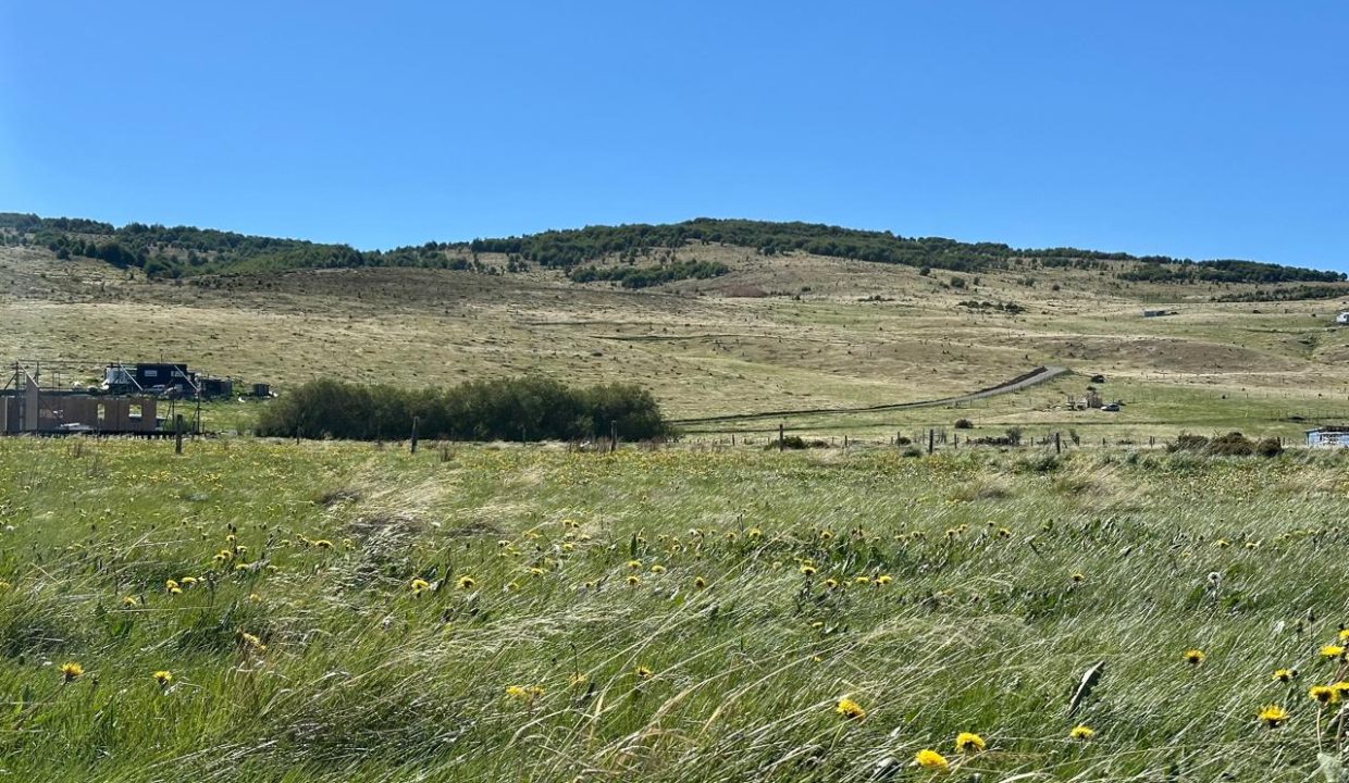 WhatsApp Image 2025-12-04 at 7.42.24 AM (9)