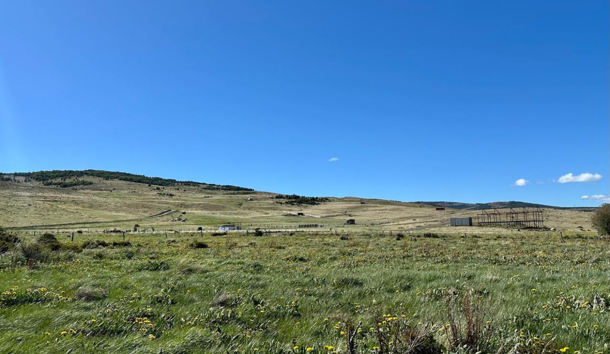 WhatsApp Image 2025-12-04 at 7.42.25 AM (1)