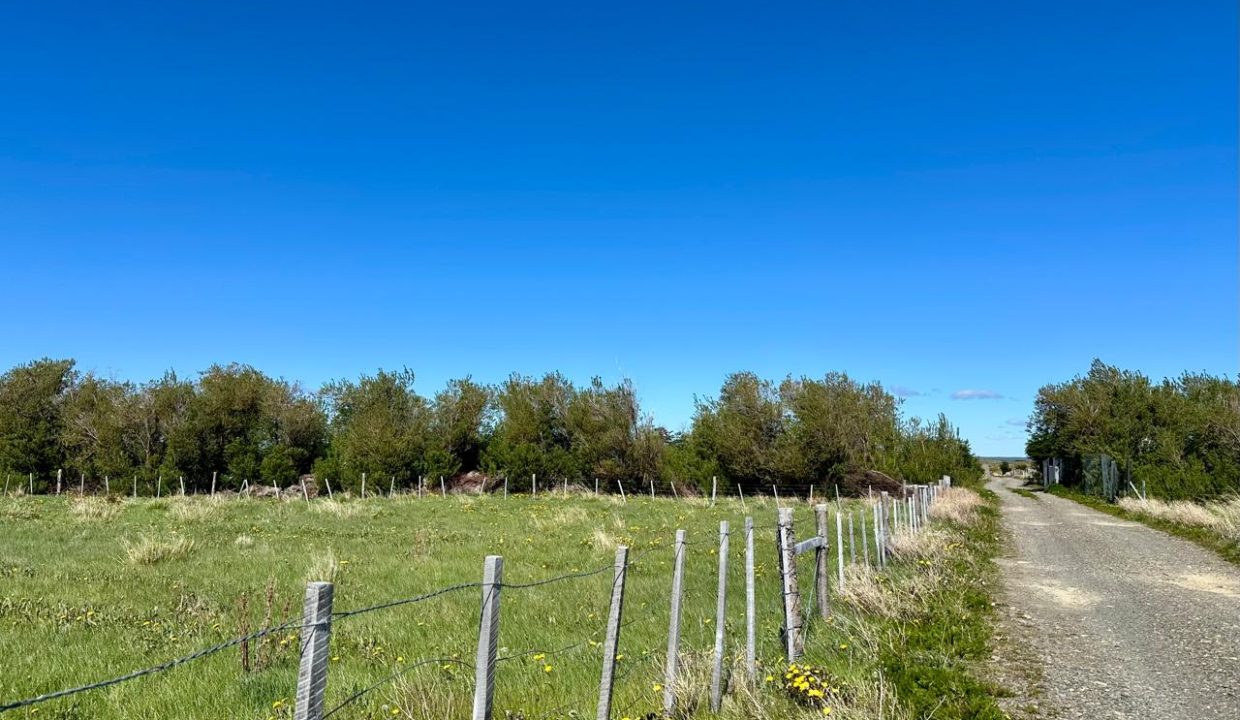 WhatsApp Image 2025-12-04 at 7.42.25 AM (10)