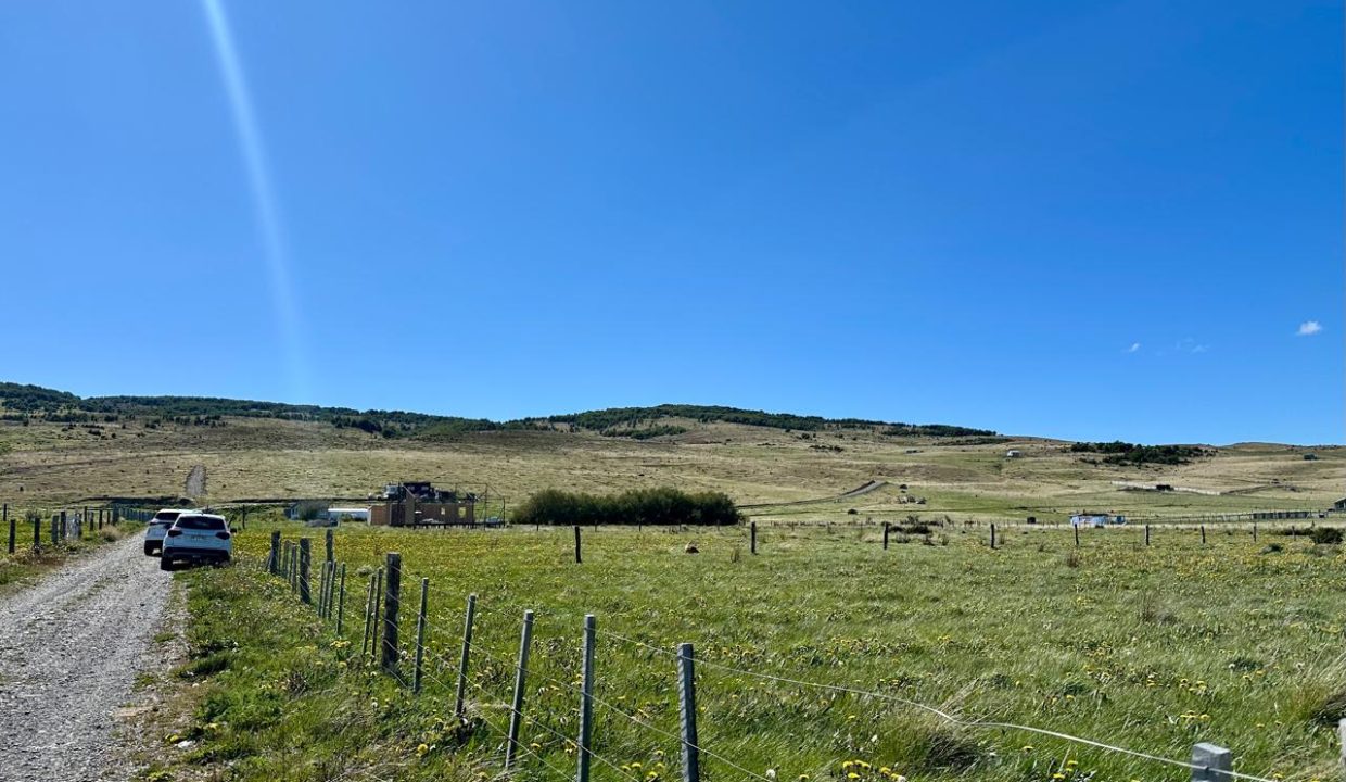 WhatsApp Image 2025-12-04 at 7.42.25 AM (11)