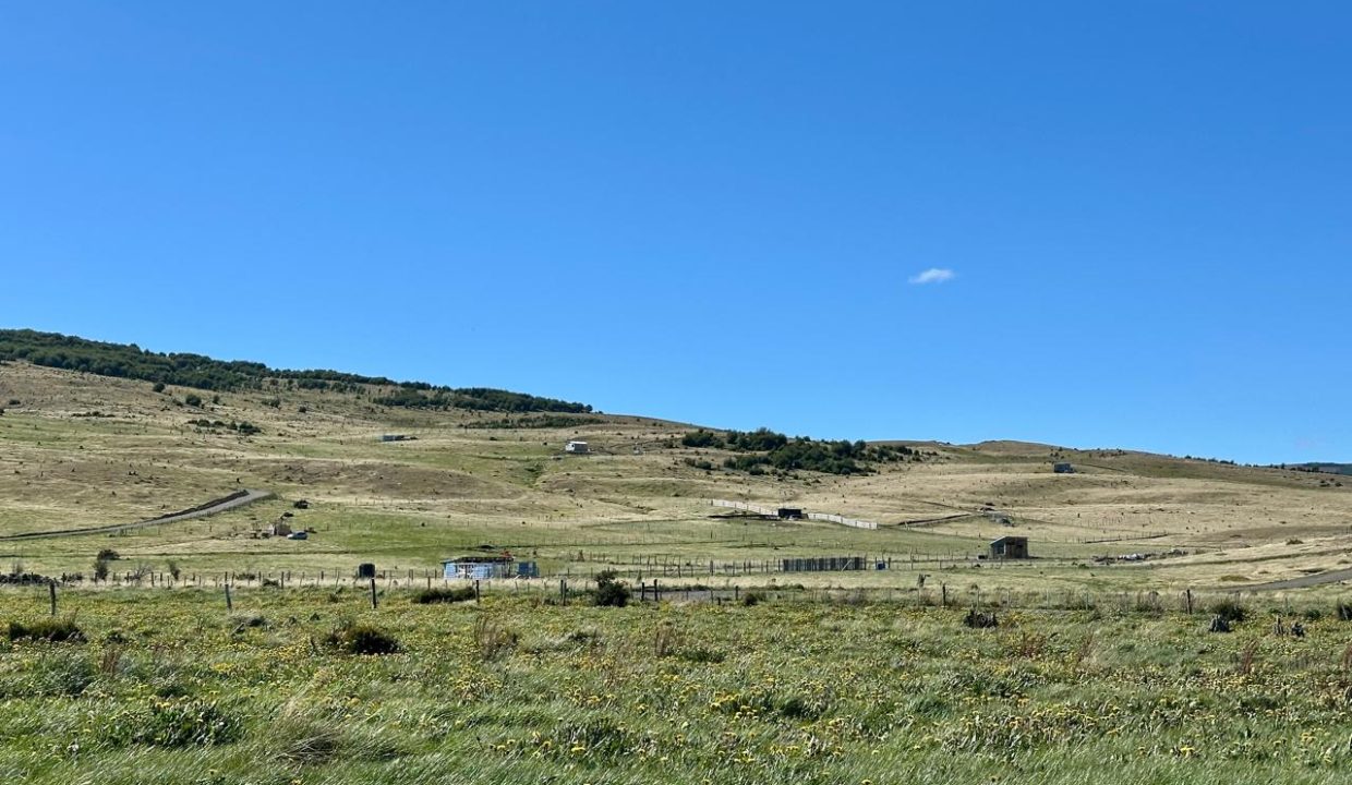 WhatsApp Image 2025-12-04 at 7.42.25 AM