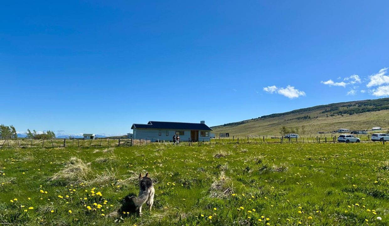 WhatsApp Image 2025-12-04 at 7.42.25 AM (3)