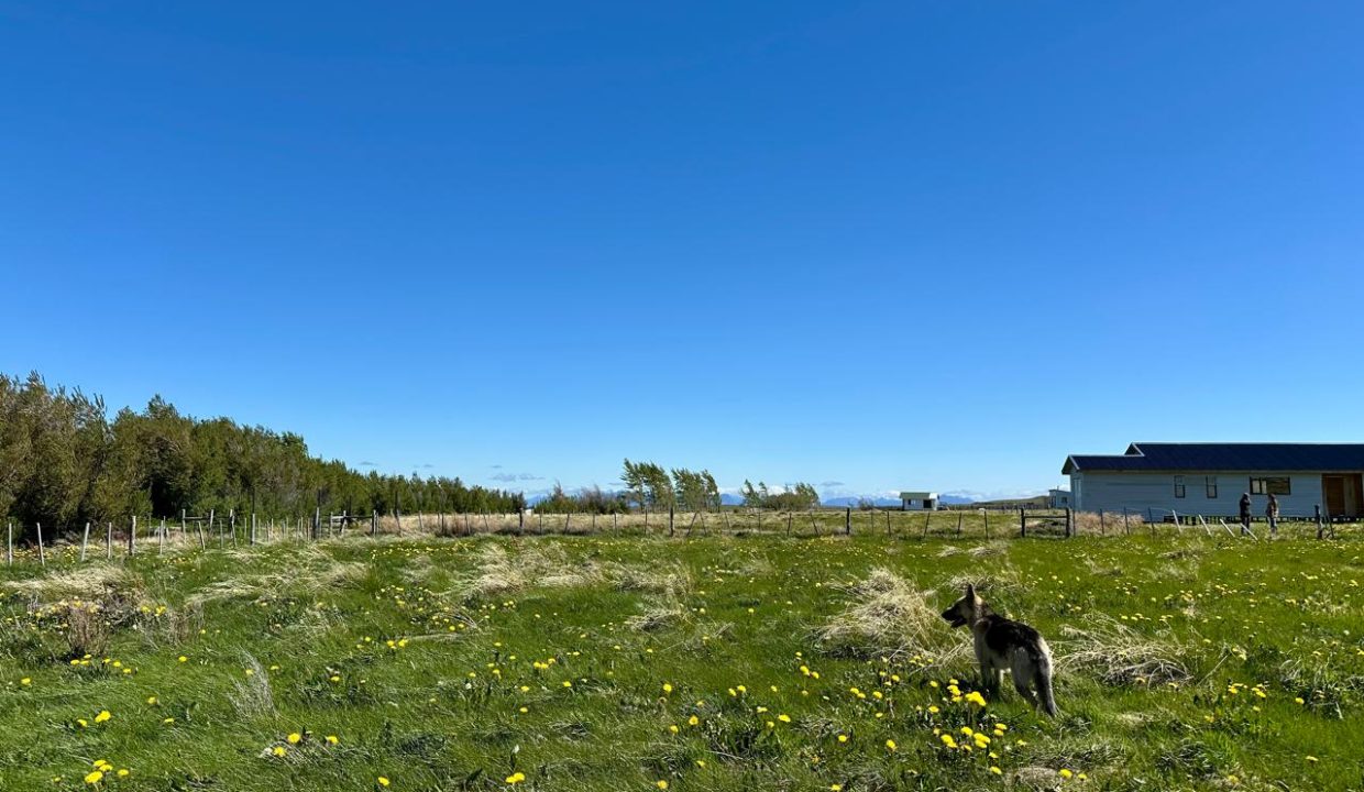 WhatsApp Image 2025-12-04 at 7.42.25 AM (5)