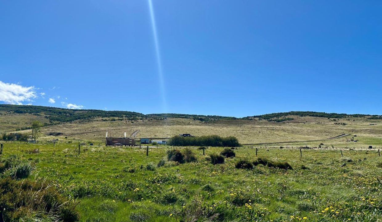 WhatsApp Image 2025-12-04 at 7.42.25 AM (6)