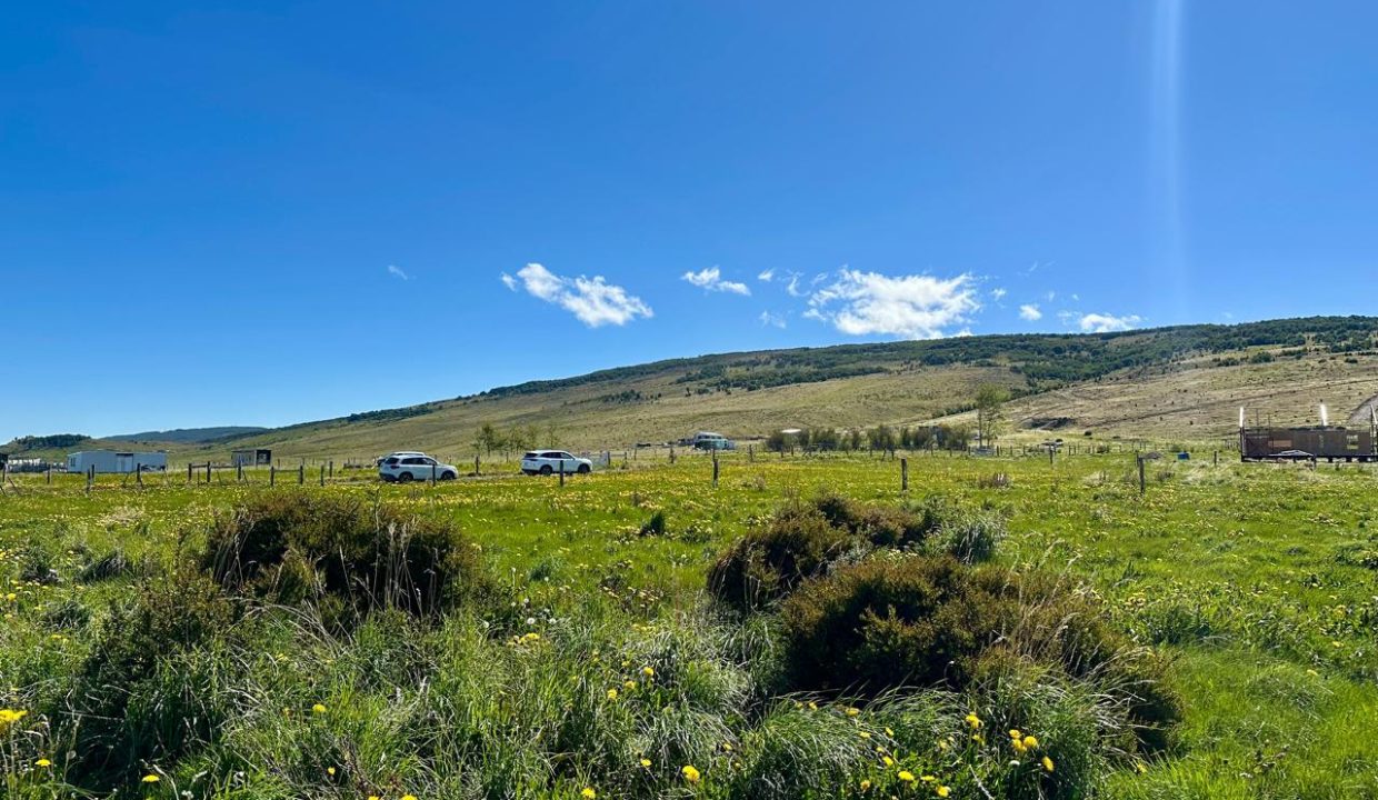 WhatsApp Image 2025-12-04 at 7.42.25 AM (7)